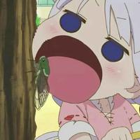 【安安宠医宁波】犬猫通用基础体检套餐